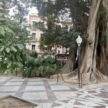 Chapuli By United Renters Alicante