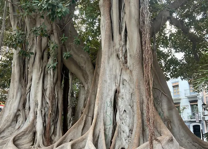 Chapuli By United Renters